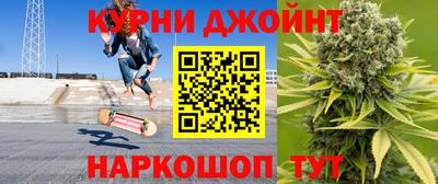 индика Тула