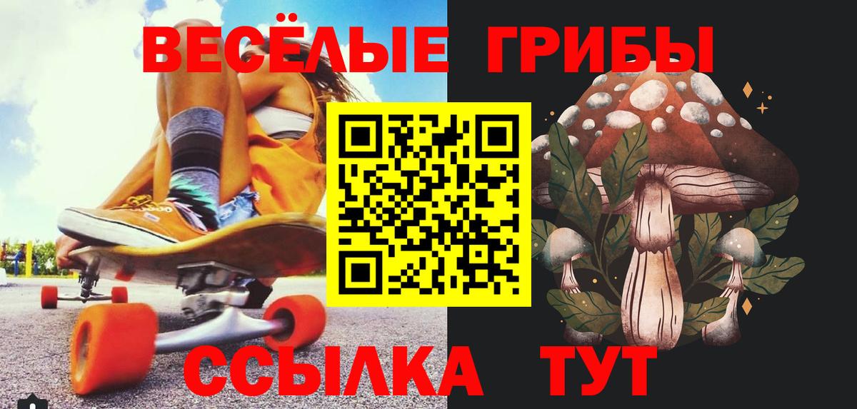 Геленджик  Галлюциногенные грибы ЛСД  Вход с VPN 